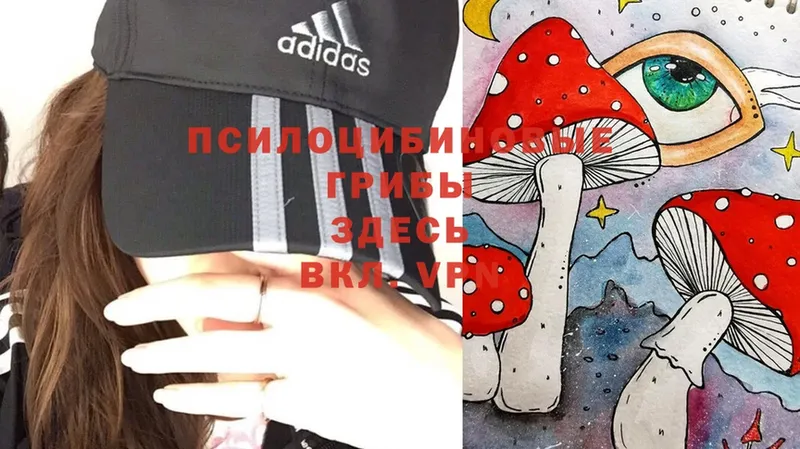 Псилоцибиновые грибы MAGIC MUSHROOMS  Большой Камень 